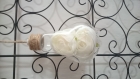 Commande spéciale 6 soliflores ampoule avec rose ivoire et macaron taupe 