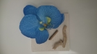 Magnet/chassis aimanté orchidée-bois flotté 