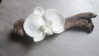 Décoration bois flotté/orchidée 