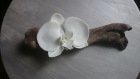 Décoration bois flotté/orchidée 