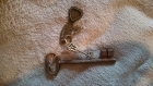 Créations clés/clefs anciennes 