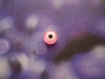 Perles intercalaires mauvais œil 8x5mm par lot de 10 
