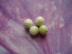 Perle ronde en verre à rayures vertes 8 mm par lot de 10 
