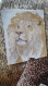 Grille point de croix : "lion" 