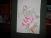 "pivoine rose " tableau à l'aquarelle 