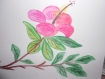 Aquarelle hibiscus rose style " peinture chinoise " 