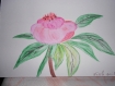 Aquarelle pivoine rose style " peinture chinoise " 