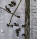 1m chaine boules billes 1-1,5mm metal coueleur bronze perles colliers fils *j108 