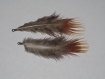 2 plumes de faisan naturelles avec accroche métal bronze marron 