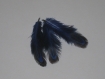 3 plumes bleue avec accroche métal bronze 