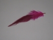 2 plume de coq rose avec accroche métal doré 