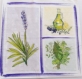 Serviette papier 33 x 33 cm motifs provence 1 lavande , flacon huile, bouquet d'herbes 