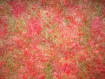 Col snood capuche 3 en 1 laine fantaisie vert rose et rouge 