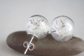 Puces d'oreille globes en verre remplies de graines de pissenlits graines fleurs de pissenlit acier inoxydable 