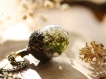Collier en verre et mousse pendentif gland de chêne en bronze collier graines de mousse style vintage bijoux de forêt 