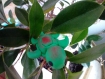 Figurine d'une tortue verte et rouge kawaii 