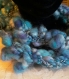 Col bijou en laine fantaisie bleue filée, tricotée et teintée main 