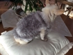 Pull,manteau laine chien ou chat ... blanc et gris longueur dos 21cm 