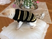 Pull laine beige .pour chien ou chat environ entre 1 kg et 1kg 500 