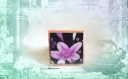 Bague cabochon carré fleur violette 