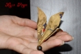 Décoration en origami en forme de fleur de lys marron avec du dorée 