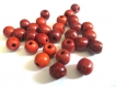 30 perles marron turquoise de synthèse howlite 6mm 