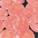 B46e2r / mercerie boutons plastique rose saumon à inclusions 22mm vendus à l'unité 