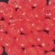 B41b2r / mercerie boutons plastique ronds rouge large bord 18mm vendus à l'unité 