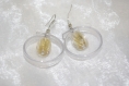 Boucles d'oreilles ronde pvc et perle transparente doré 