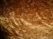 N°81-tissu en velours leger - marron dore 