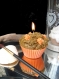 Bougie gourmande cupcake trick or treat halloween gateau citrouille @decomatine 