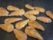 Lot 16 perles feuilles brun-dorées en porcelaine froide