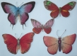 Série de magnets papillons multicolores multitailles 