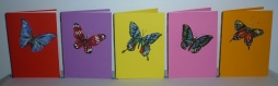 Lot de cinq cartes motifs papillons pack 3 