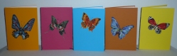 Lot de cinq cartes motifs papillons pack 1 