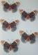 Série de magnets papillons multicolores identiques 