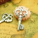 10 breloques antique silver skeleton charms clés double face 23x12mm ch1098 