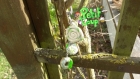 Porte clef vert avec une lollipop, un macaron et un donuts 