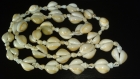 Sachet de 110g de cauris-coquillages percés avec 2 trous-mini coquillages en spirale percés 