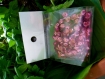 Sequins paillettes couture 6~7 mm rose -20g 