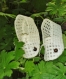 Deux marque-place-chaussons au crochet avec matériaux recyclés déco 