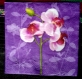 Lot de2 serviettes en papier motif orchidées double épaisseur 3 plis 33x33cm 