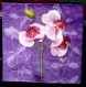 Lot de2 serviettes en papier motif orchidées double épaisseur 3 plis 33x33cm 