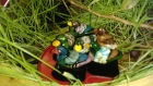 Lot de 6 petits petits canards en céramique-décoration de table rond de serviette plastique 