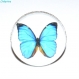 Bague argentée avec cabochon en verre * papillon bleu sur fond blanc * 