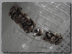 Bracelet femme fermoir ancre macramé paracord marron 19,5 cm 