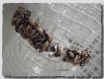 Bracelet homme fermoir ancre macramé paracord marron 20,5 cm 