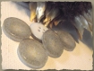 5 boutons gris moucheté * 22 mm * 4 trous * 2,2 cm button mercerie 