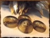 6 boutons beige marron brun marbré pointillé * 18 mm 2 trous 1,8 cm button mercerie 