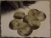 8 boutons marron beige marbré * 13 mm 2 trous 1,3 cm n°2 